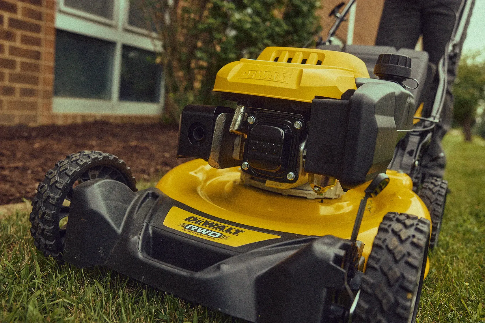 A close-up view of a yellow DEWALT lawn mower on grass, showing the front wheels and engine. The mower is being used outdoors near a building with a garden bed.
