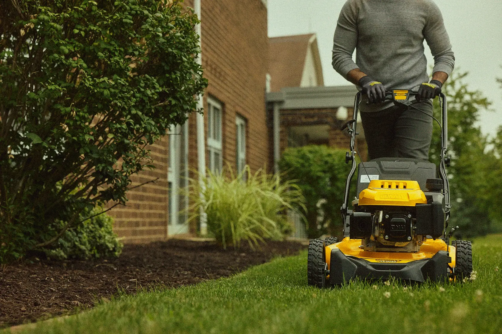 A person is pushing a yellow DEWALT lawn mower on a grassy lawn next to a brick house with garden plants and shrubs nearby.