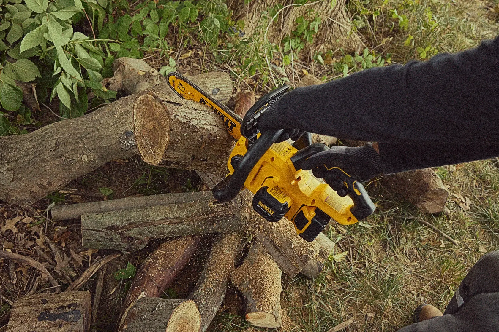 DCCS621P1 Top view of sawing log