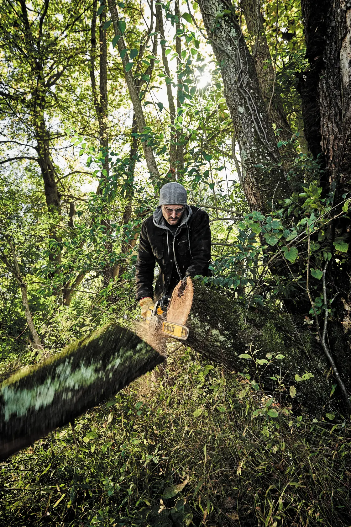 Brushless chainsaw being used to cut a large log from a tree by a person.