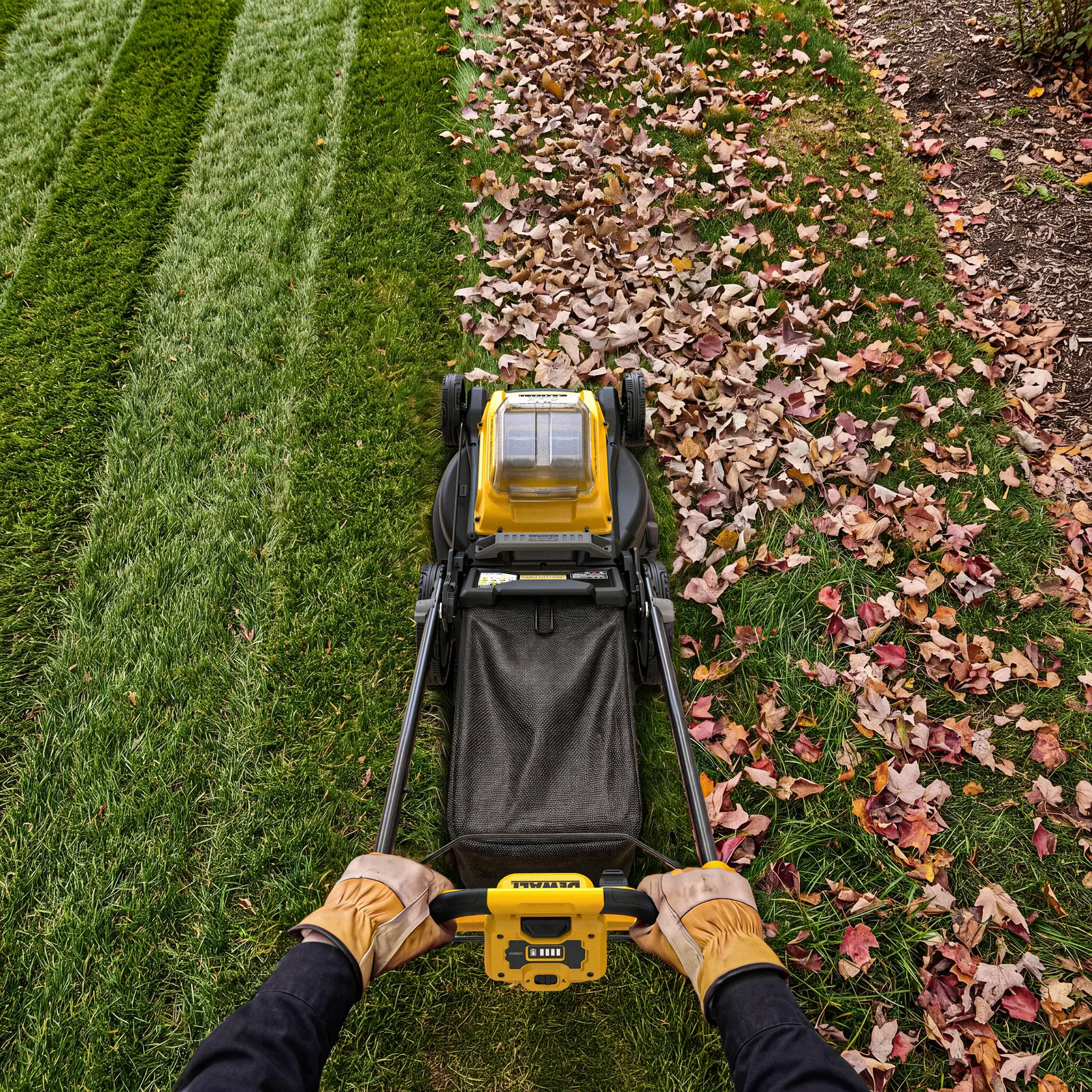 Person inserts a DEWALT 40V battery into a yellow cordless lawn mower outdoors on grass.