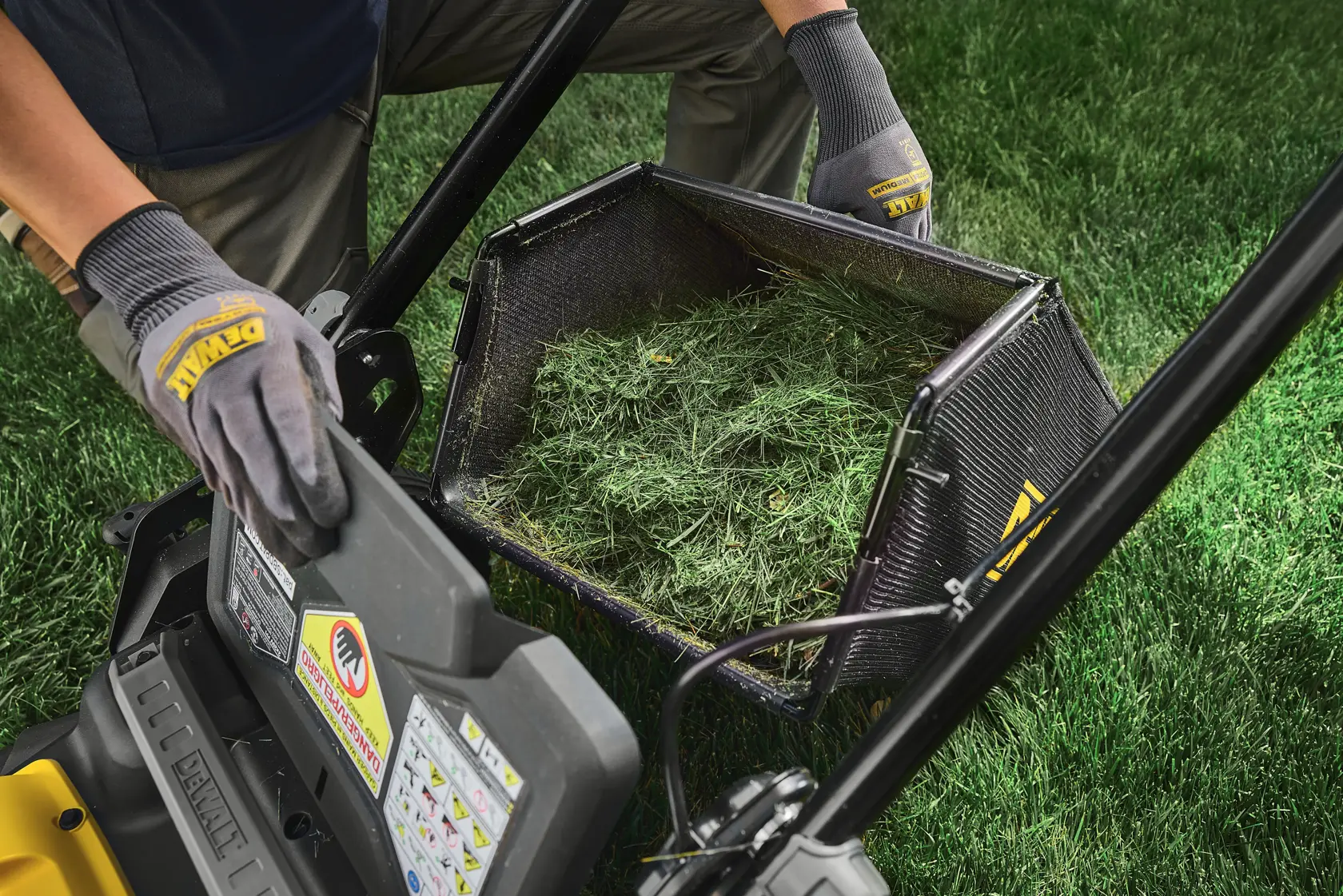 Person wearing DEWALT gloves empties grass catcher from a DEWALT lawn mower onto green grass.