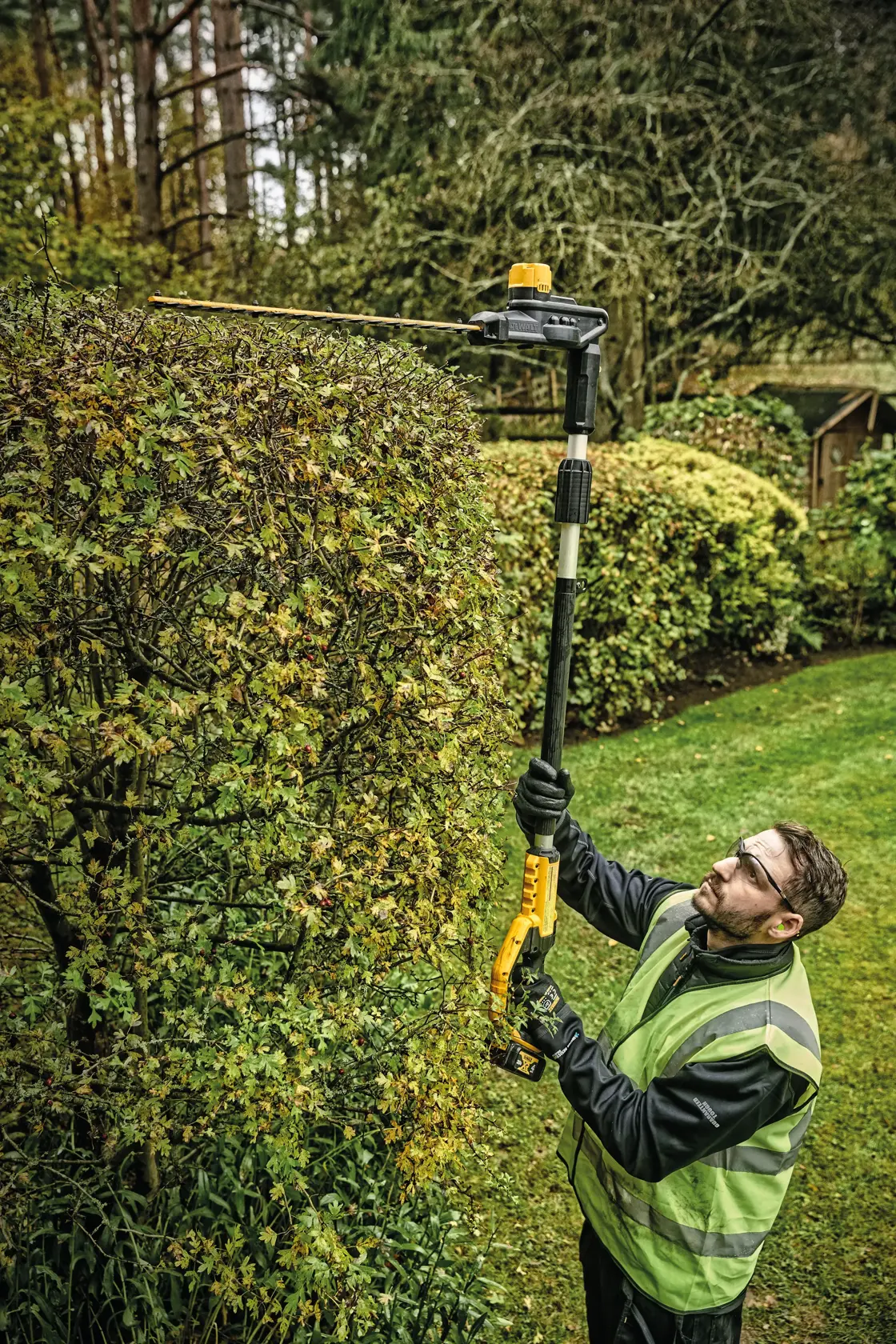Overhead view of Pole Hedge Trimmer being used by a person to cut through landscape outgrowth.