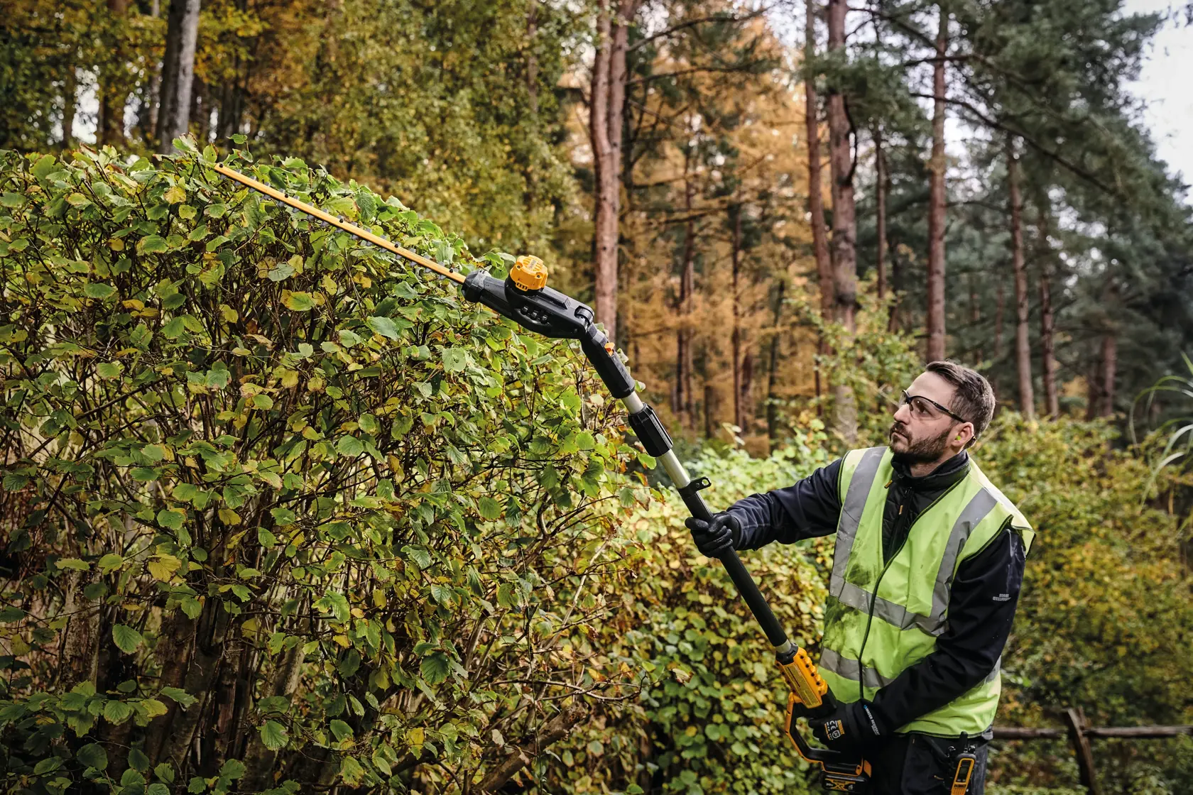 Pole Hedge Trimmer being used by a person to cut through landscape outgrowth.rn