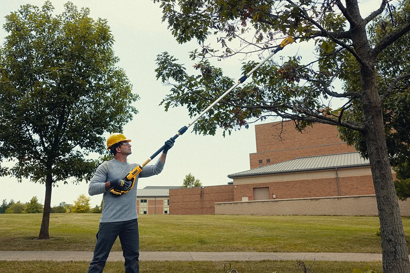 DCPPR320B Cutting limbs at height side view