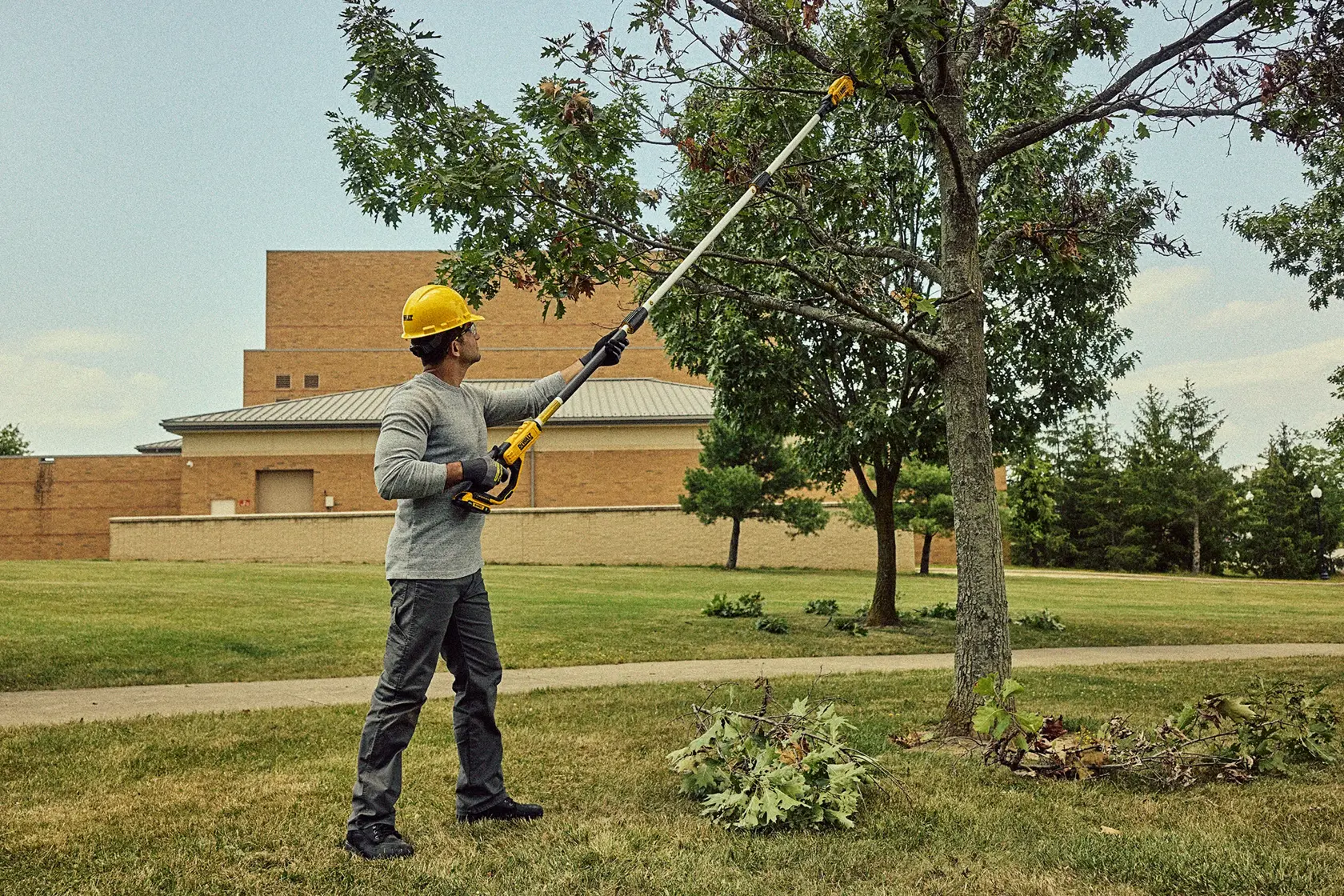 DCPPR320D1 Cutting limbs at height rear view