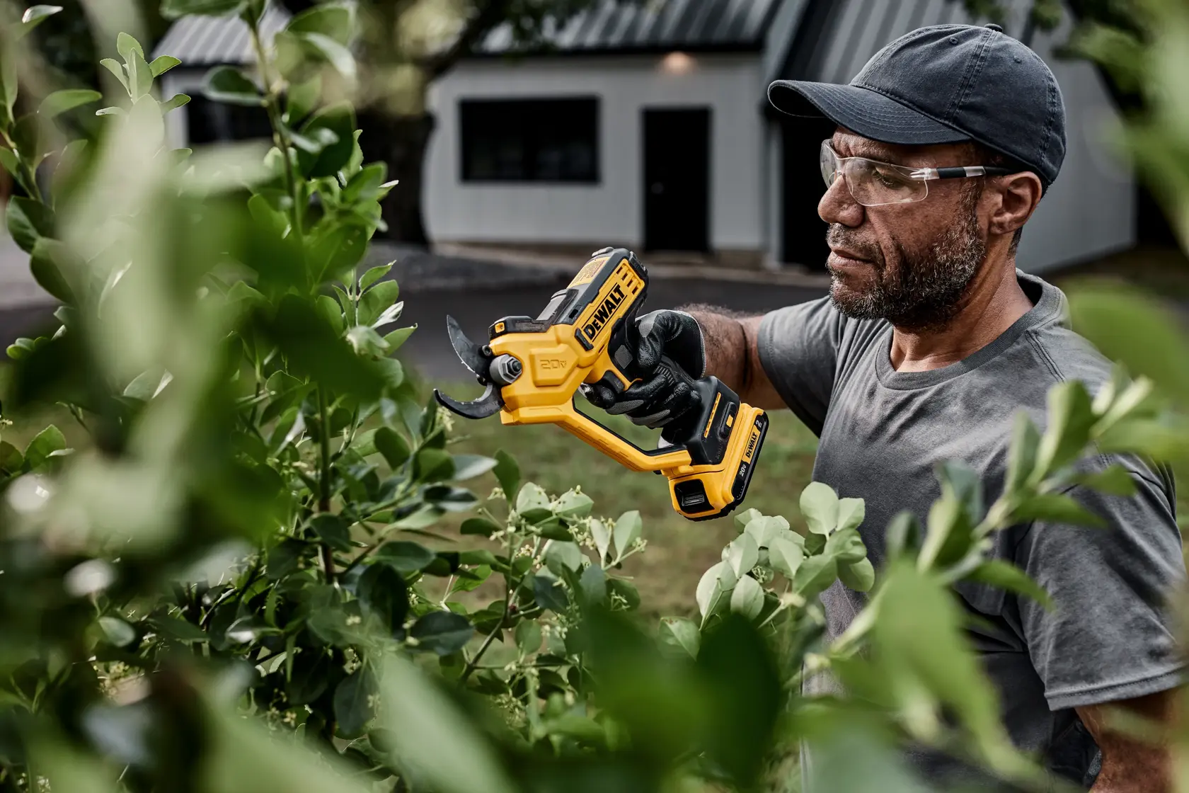 A person wearing a grey shirt and cap is using a yellow and black DeWALT electric pruning shears to trim leafy branches in an outdoor garden, with a house visible in the background.