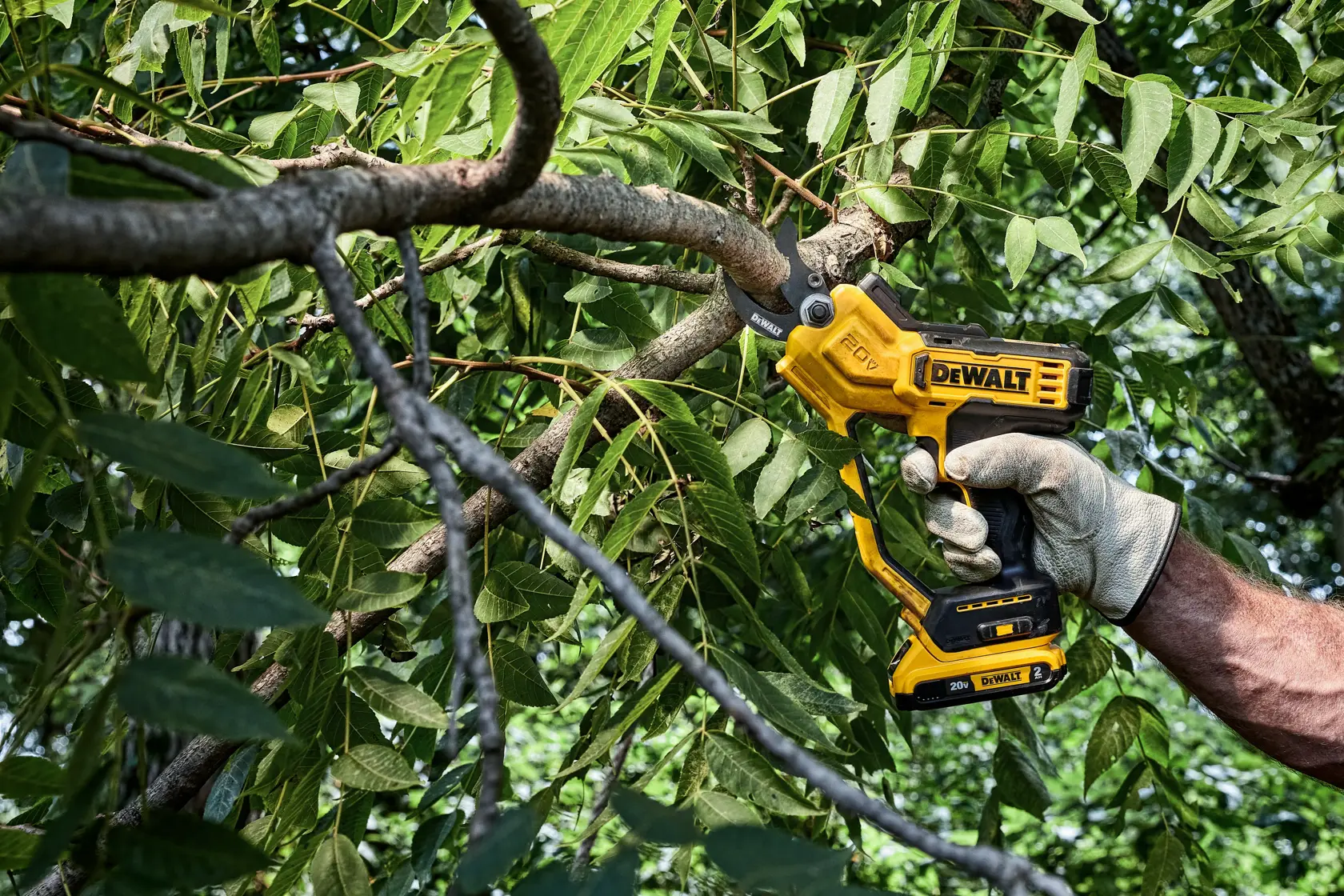 DEWALT® 20V MAX* 1-1/2-in. Cordless Pruner Kit