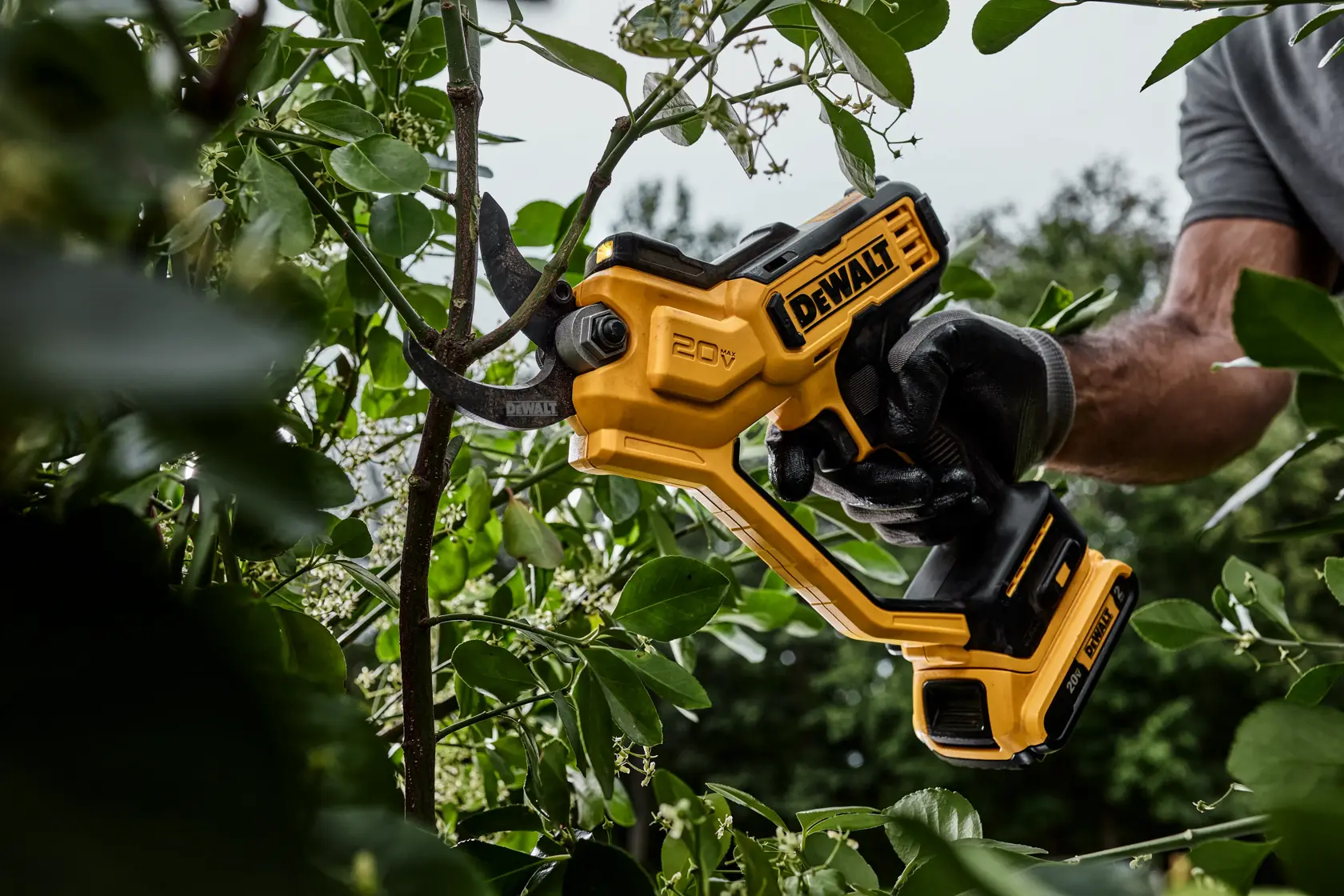 A close-up view of a person using a DEWALT 20V cordless electric pruner to cut a tree branch outdoors, surrounded by green leaves.