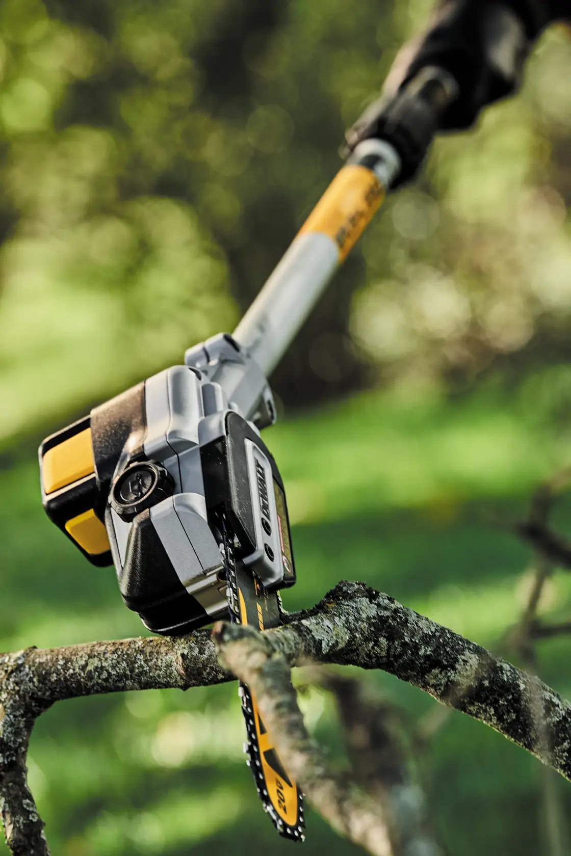 A close-up view of a DEWALT cordless pole saw cutting a tree branch outdoors, with the saw blade and handle visible.