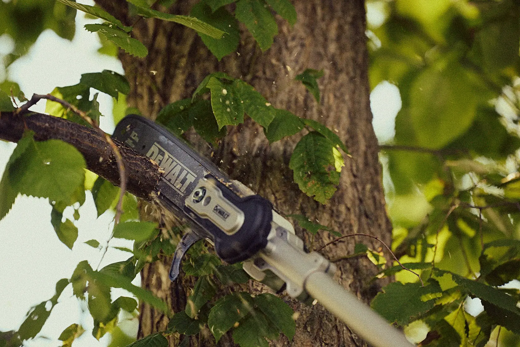 DCPS671X1 Close up cutting a limb