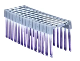 Close upof 1 inchinsulated cable staples.