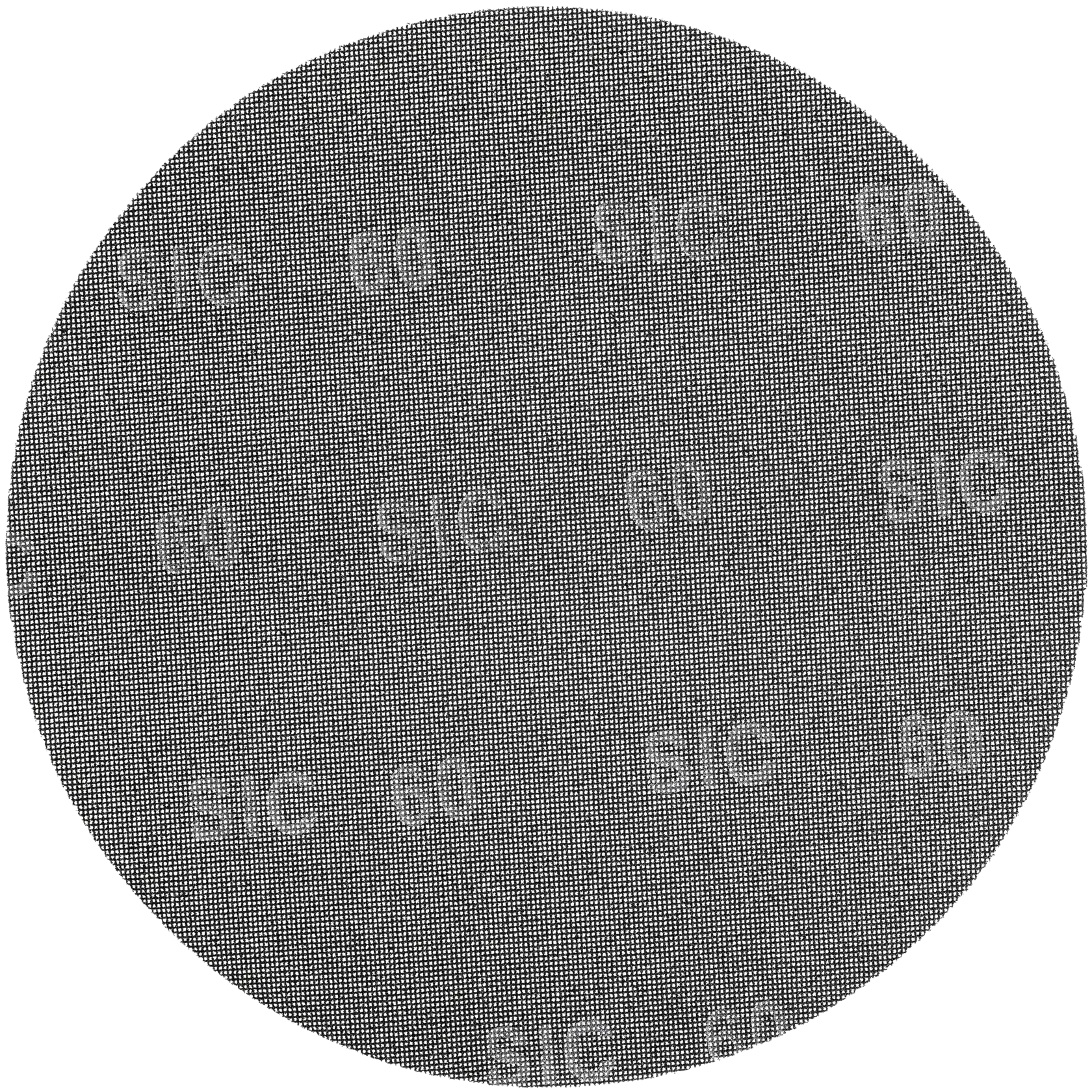 DEWALT® 17“ Silicon Carbide C100 Floor Mesh Screen Disc