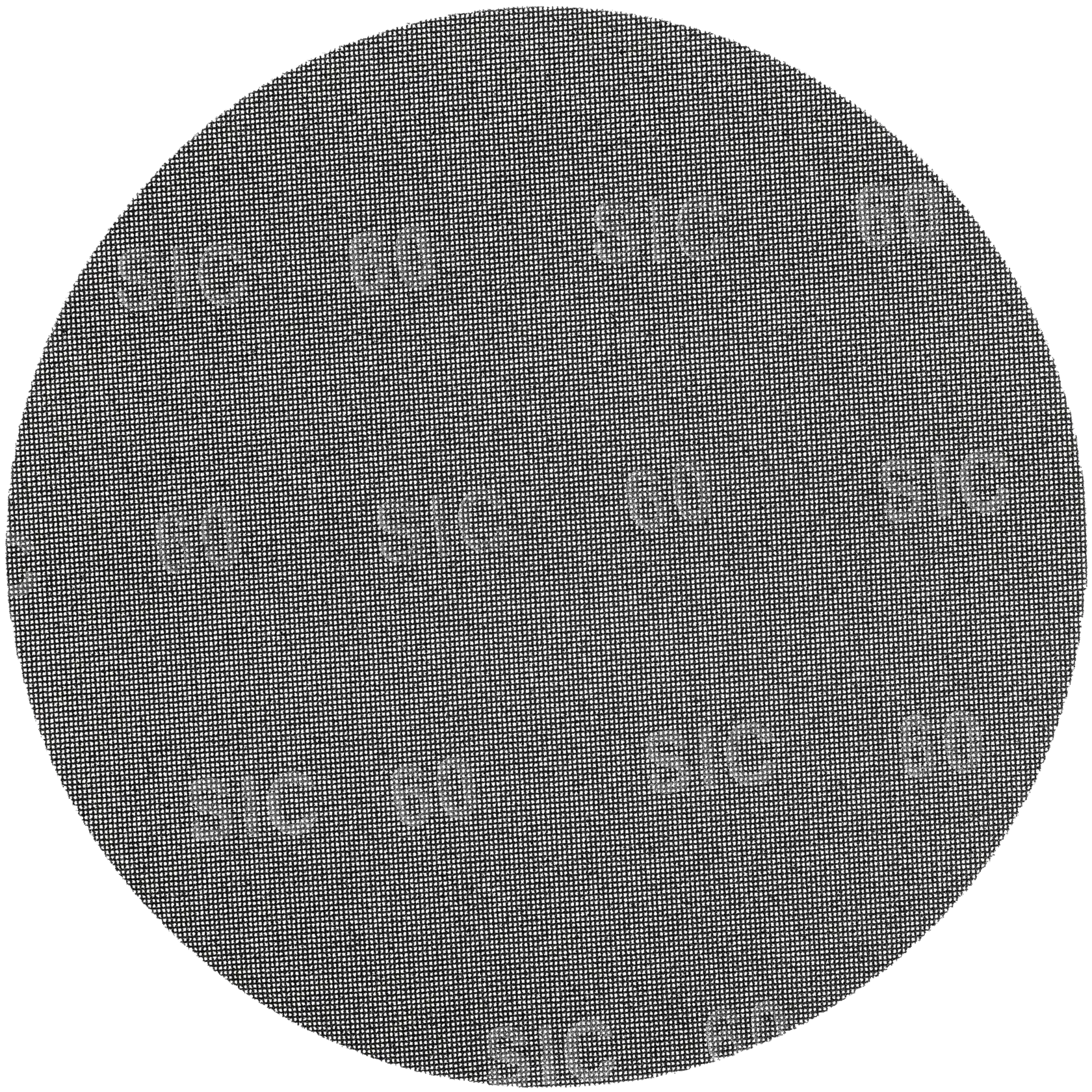 DEWALT® 17“ Silicon Carbide C150 Floor Mesh Screen Disc