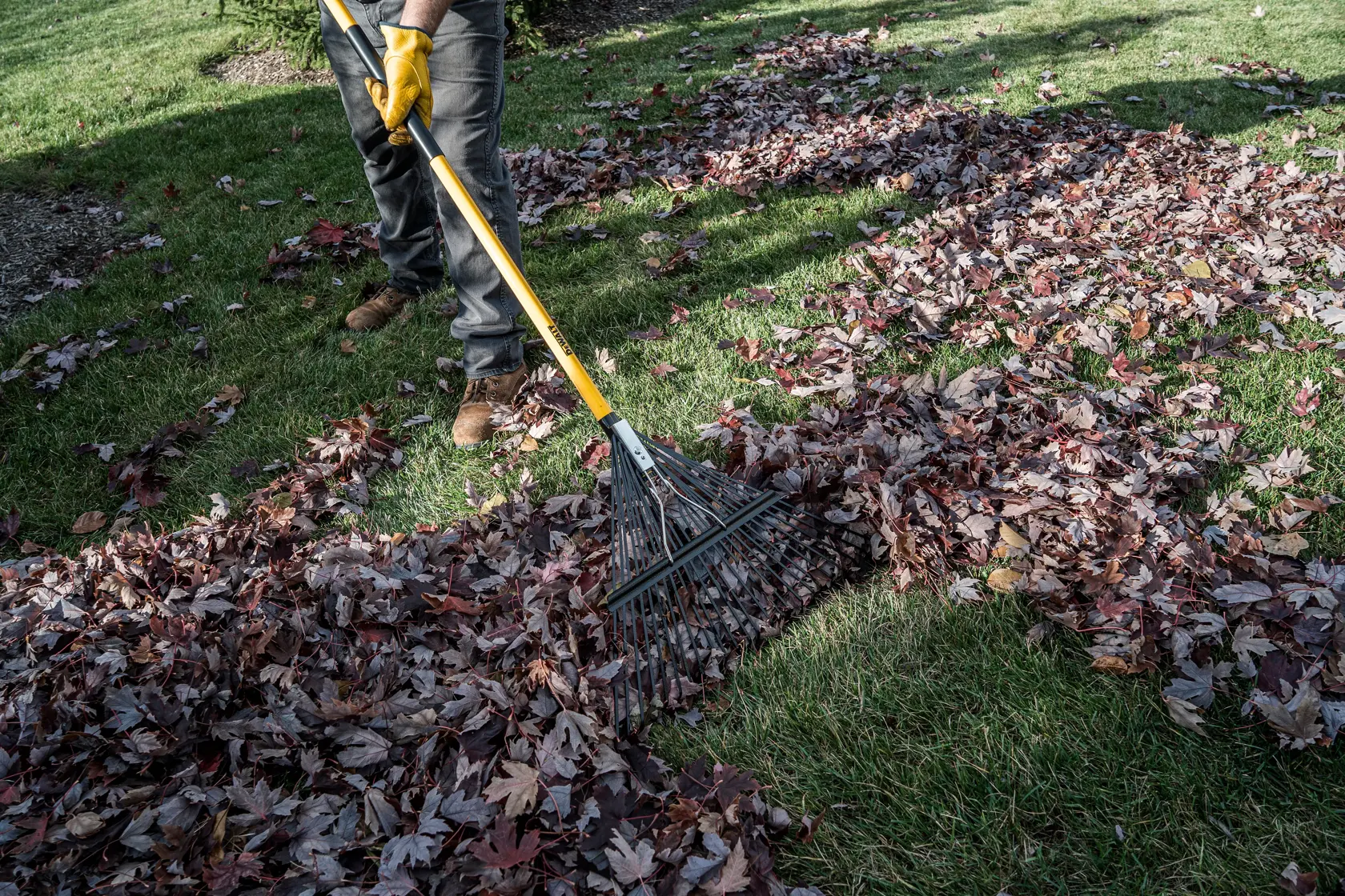 46 inch Fiberglass Handle 24-Tine Leaf Rake raking leaves in grass in gray pants and boots