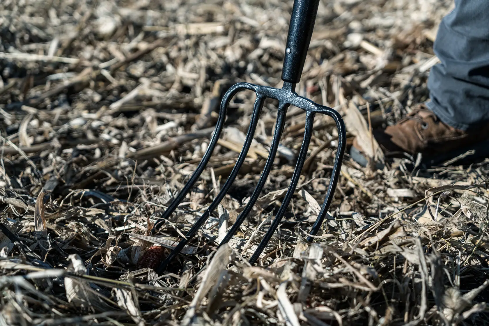 52 inch Fiberglass Handle 5-Tine Fork close up on tines in mulch