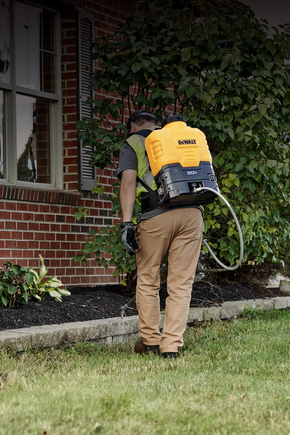 A person wearing a yellow and black DEWALT backpack sprayer is working in a garden area next to a brick house. The sprayer appears to be used for watering or applying chemicals to plants.