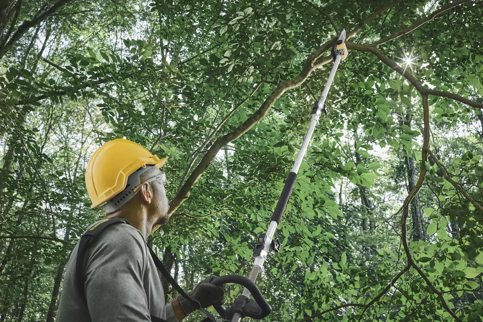 Person using a DEWALT pole saw to trim high tree branches in a forest, wearing gloves and a yellow hard hat.