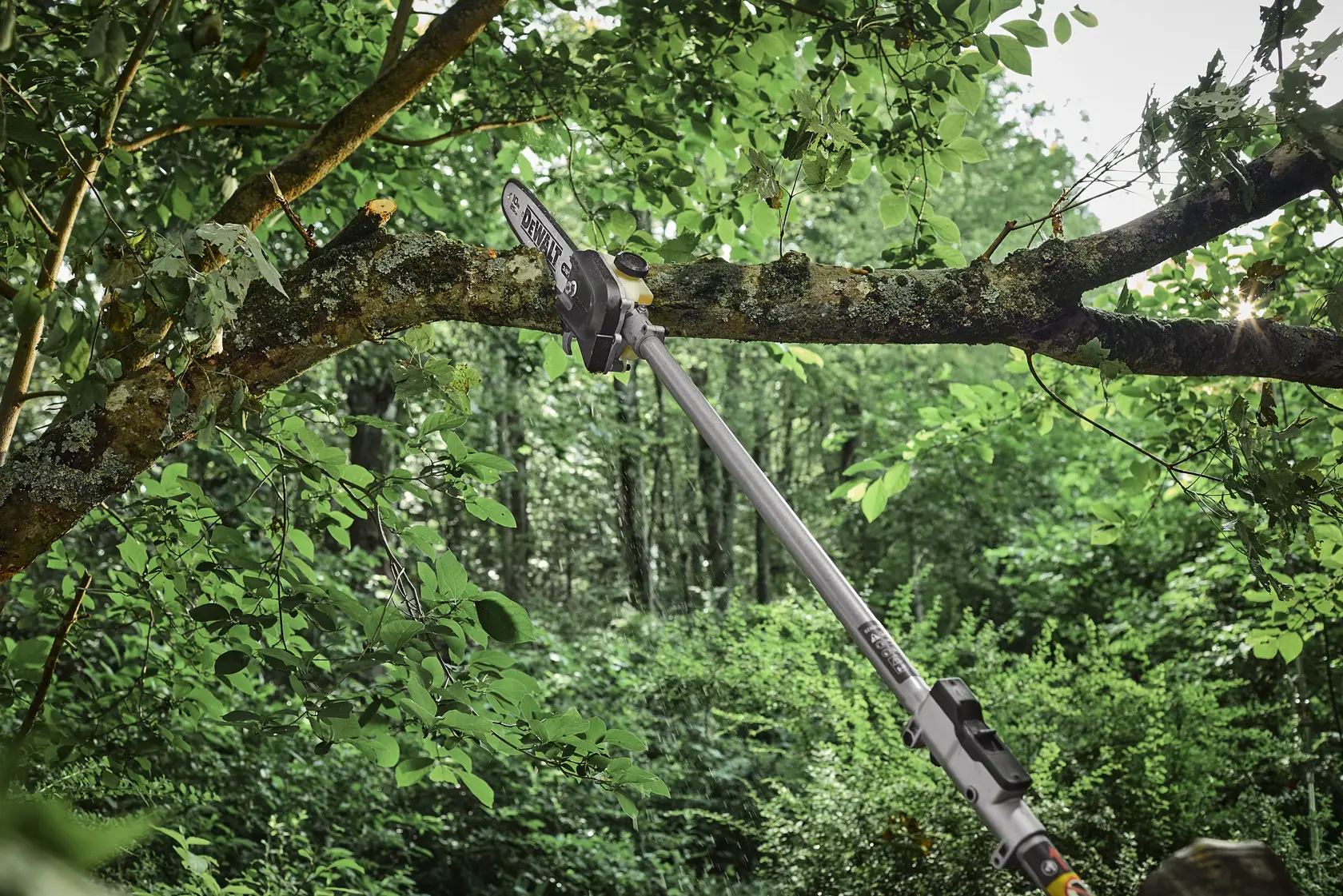 DEWALT pole saw cutting a tree branch in a green forest outdoors, showing tool in action.